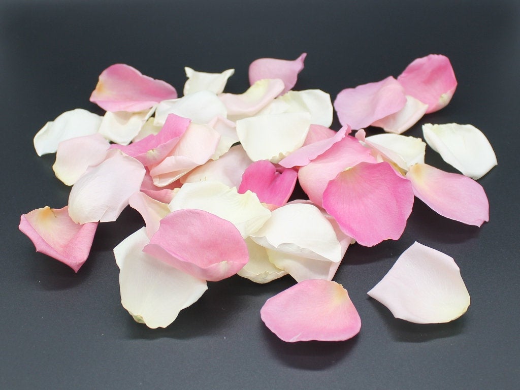 Freeze Dried Rose Petal Blends