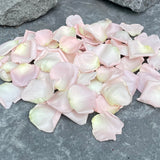 Freeze Dried Rose Petals - Blush