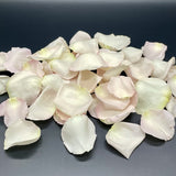 Freeze Dried Rose Petals - Bashful