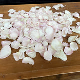 Freeze Dried Rose Petals - Bashful