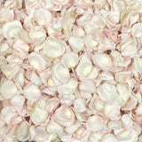 Freeze Dried Rose Petals - Bashful