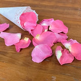 Freeze Dried Rose Petals - BubbleGum