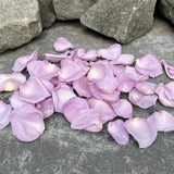 Freeze Dried Rose Petals - Lavender