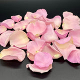 Freeze Dried Rose Petals - Pixie Pink