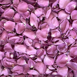 Freeze Dried Rose Petals - Purple