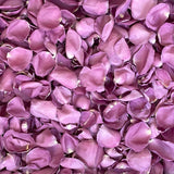 Freeze Dried Rose Petals - Purple