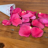 Freeze Dried Rose Petals - Romantic Red