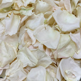 Rose Petals, Real Freeze Dried Ivory Petals for Pathways, 70 cups