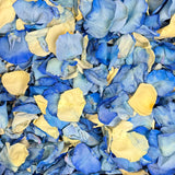 Rose Petals, Real Freeze Dried Blue and Ivory Petals for Pathways, 70 cups