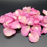 Freeze Dried Rose Petals - Aurora Pink