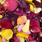 Rose Petals, Harvest Blend of Real Freeze Dried Petals for Pathways, 70 cups