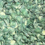 Freeze Dried Rose Petals - Sage Green dyed