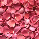 Freeze Dried Rose Petals - Hot Pink