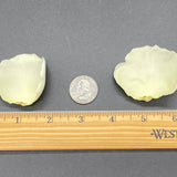 Freeze Dried Rose Petals - Lemonade