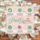 Freeze Dried Rose Petals - Ivory