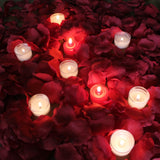 Red Rose Petals + Candles, 1000 Silk Petals