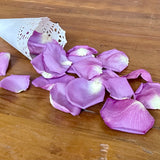 Freeze Dried Rose Petals - Lilac