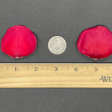Freeze Dried Rose Petals - Red