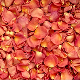 Freeze Dried Rose Petals - Ember