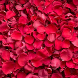 Freeze Dried Rose Petals - Red