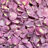 Freeze Dried Rose Petals - Lilac
