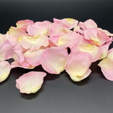 Freeze Dried Rose Petals - Pixie Pink