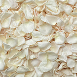 Freeze Dried Rose Petals - Ivory