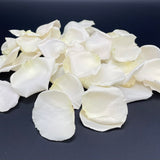 Freeze Dried Rose Petals - Ivory