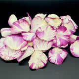 Freeze Dried Rose Petals - Sangria Splash