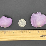 Freeze Dried Rose Petals - Lavender