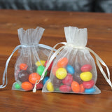 Organza Bag Samples