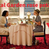 Red Rose Petals and Candles