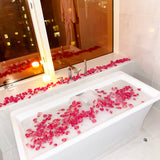 Freeze Dried Rose Petals - Hot Pink