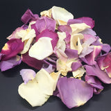 Rose Petals, Real Freeze Dried Ivory and Purple Petals for Pathways, 70 cups
