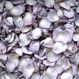 Freeze Dried Rose Petals - Lavender