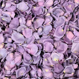 Freeze Dried Rose Petals - Mystic