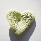 Pistachio Green Heart Shaped Silk Rose Petals