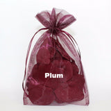 6x9 Organza Bag