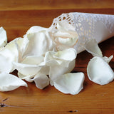 Freeze Dried Rose Petals - Ivory