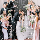 Freeze Dried Rose Petals - Ivory