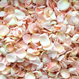 Freeze Dried Rose Petals - Blush