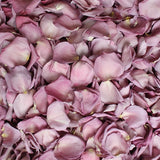 Freeze Dried Rose Petals - Dusty Purple