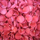 Freeze Dried Rose Petals - Hot Pink