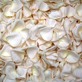 Freeze Dried Rose Petals - Ivory