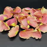 Freeze Dried Rose Petals - Sugarplum