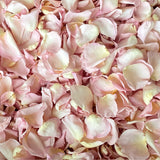 Freeze Dried Rose Petals - Pixie Pink