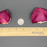 Freeze Dried Rose Petals - Garnet Fog