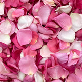 Freeze Dried Rose Petals - Pink Blend