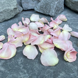 Freeze Dried Rose Petals - Pixie Pink