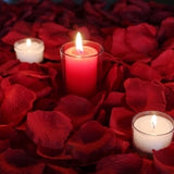 Red Rose Petals + Candles, 1000 Silk Petals